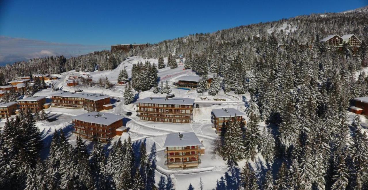Le Cocon 4 Saisons A Chamrousse 1700 - Droseras A14 - Les Villages Du Bachat المظهر الخارجي الصورة
